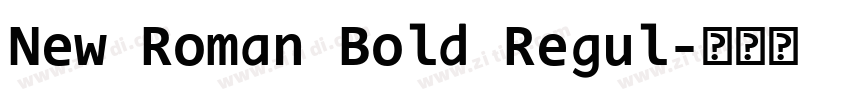 New Roman Bold Regul字体转换